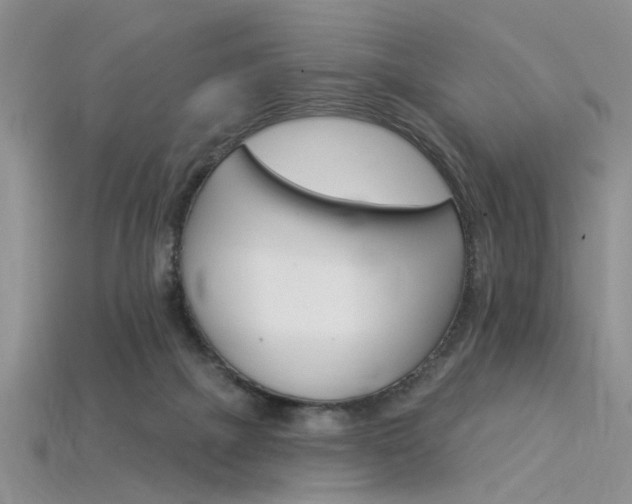 X0000115850073200911131600