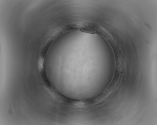 X0000115850075200911131600