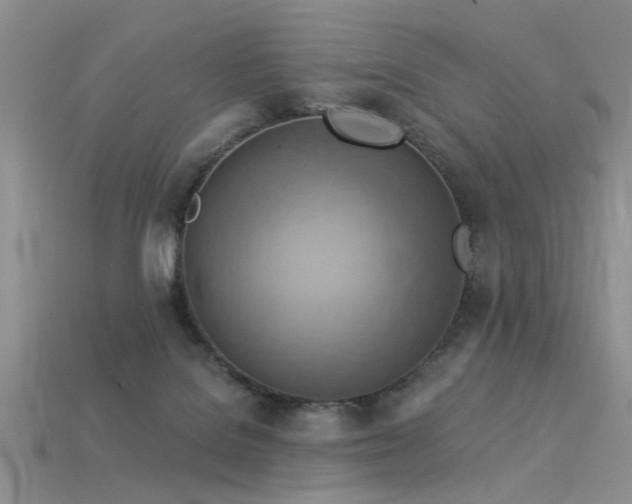 X0000115850076200911131600
