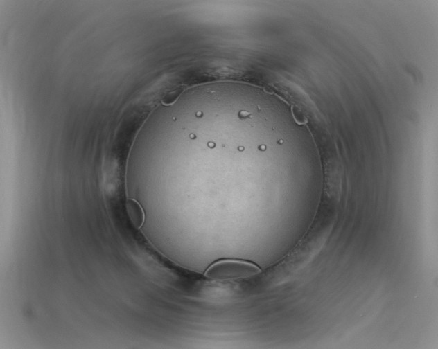 X0000115850077200911131600