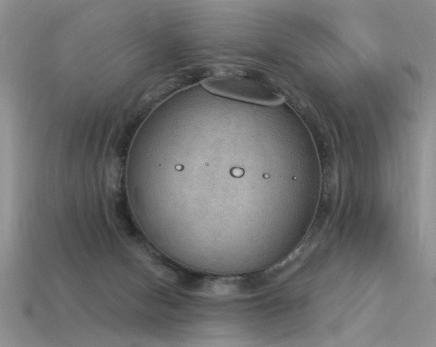 X0000115850078200911131600