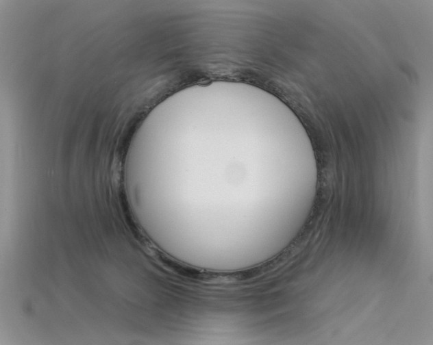 X0000115850081200911131600