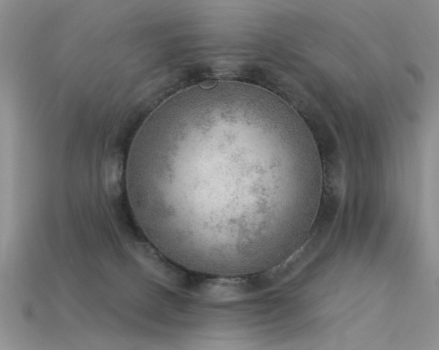 X0000115850082200911131600