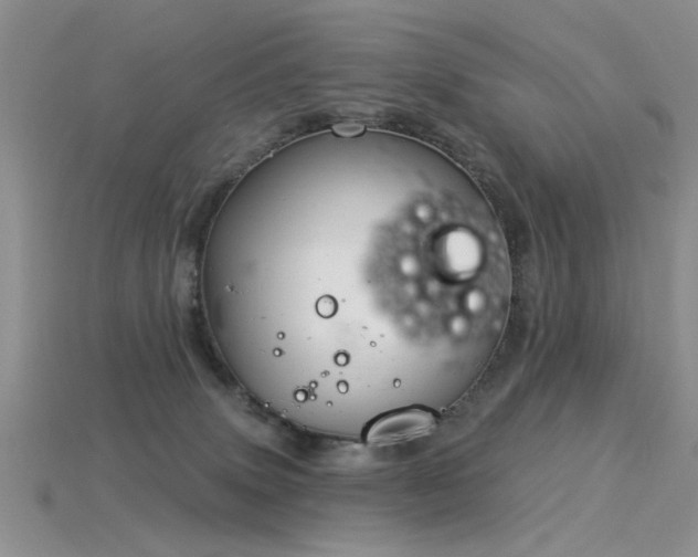 X0000115850083200911131600