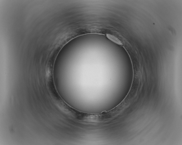 X0000115850084200911131600