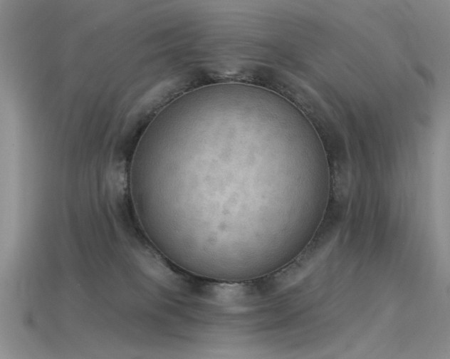 X0000115850085200911131600