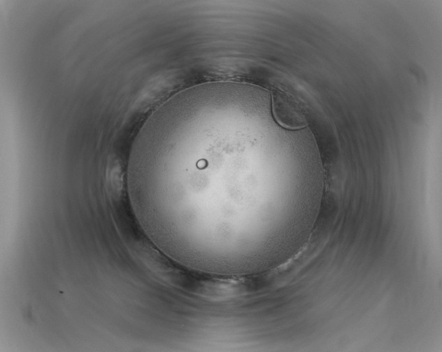X0000115850086200911131600