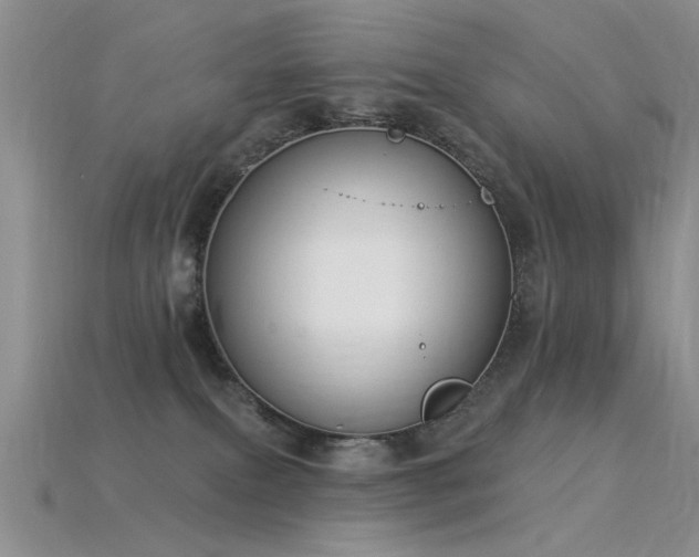 X0000115850087200911131600