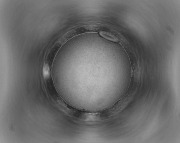 X0000115850089200911131600