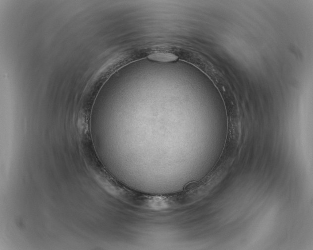 X0000115850091200911131600
