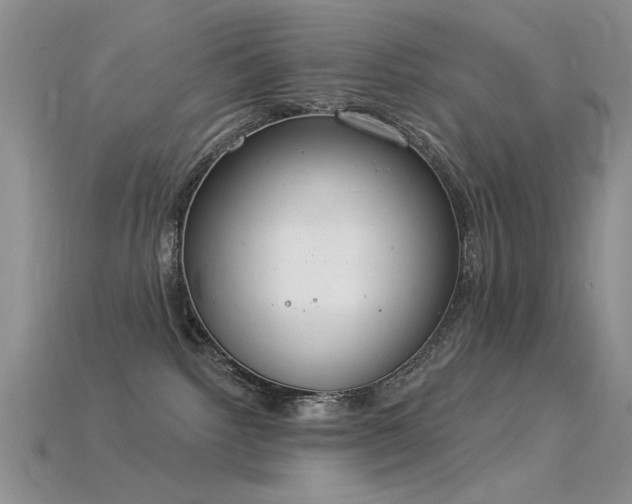 X0000115850092200911131600