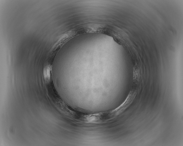 X0000115850094200911131600