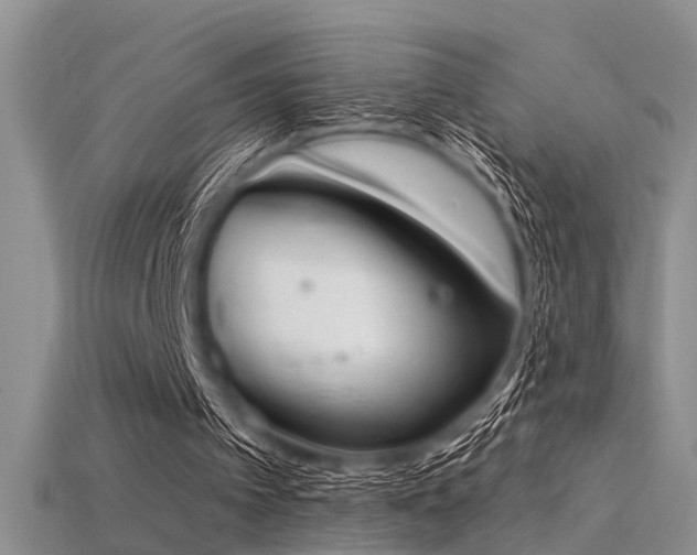 X0000115850097200911131600