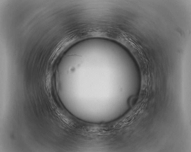 X0000115850098200911131600