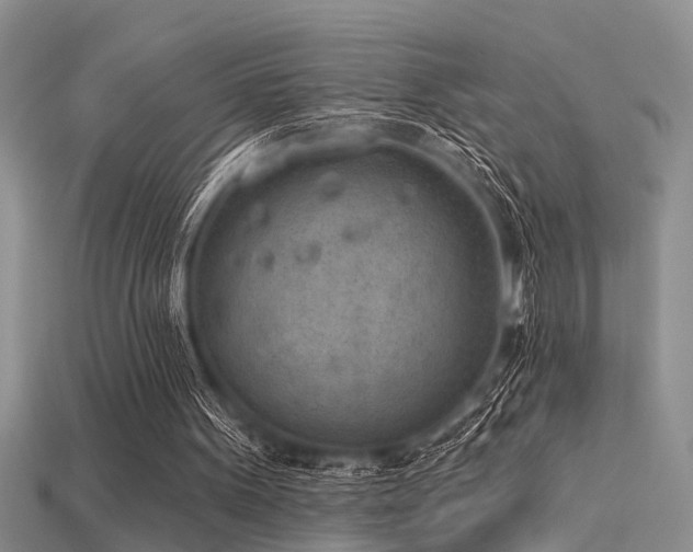 X0000115850099200911131600