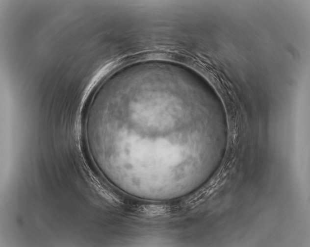 X0000115850102200911131600