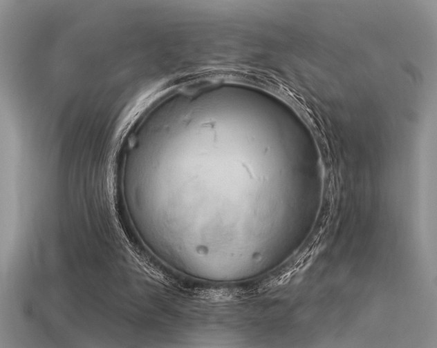 X0000115850103200911131600