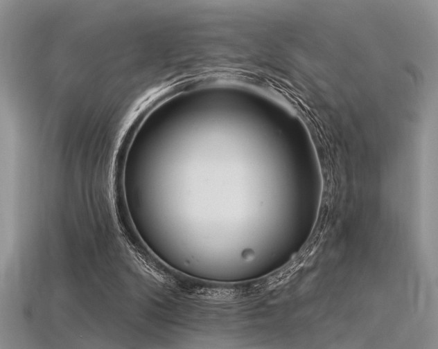 X0000115850104200911131600