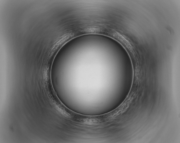 X0000115850105200911131600