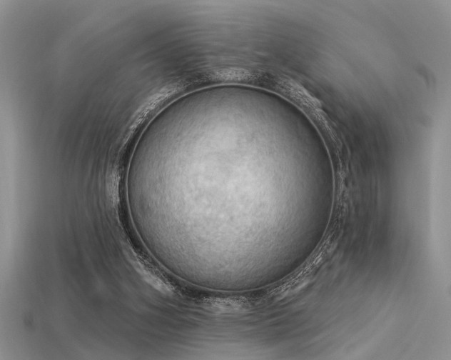 X0000115850106200911131600