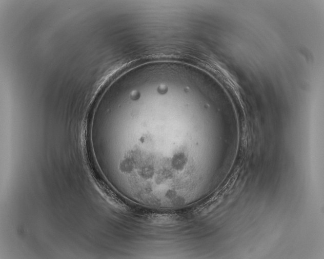 X0000115850107200911131600