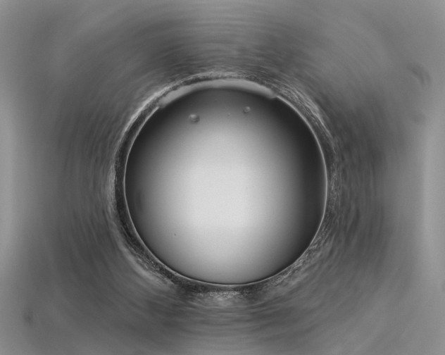 X0000115850108200911131600