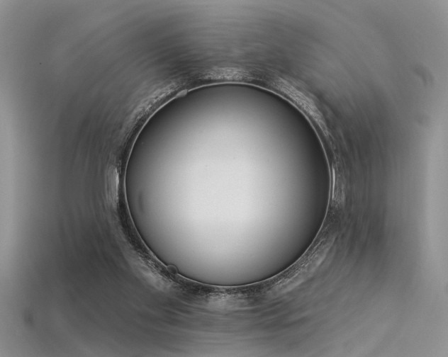 X0000115850109200911131600