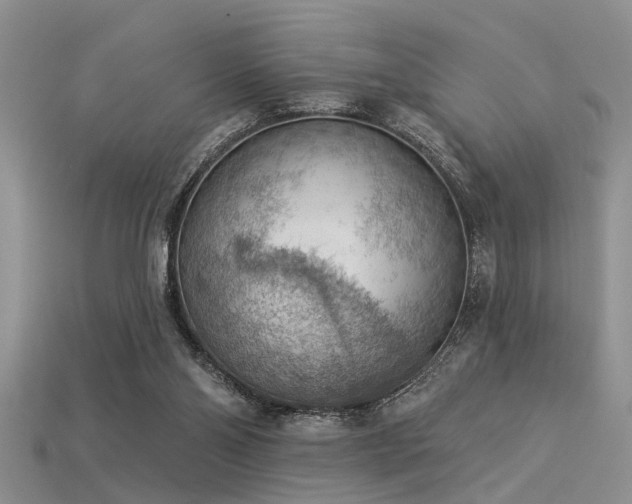 X0000115850110200911131600