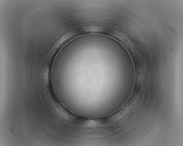 X0000115850111200911131559