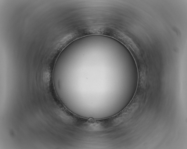 X0000115850113200911131559