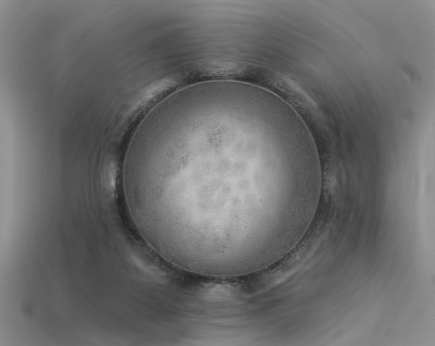 X0000115850115200911131559
