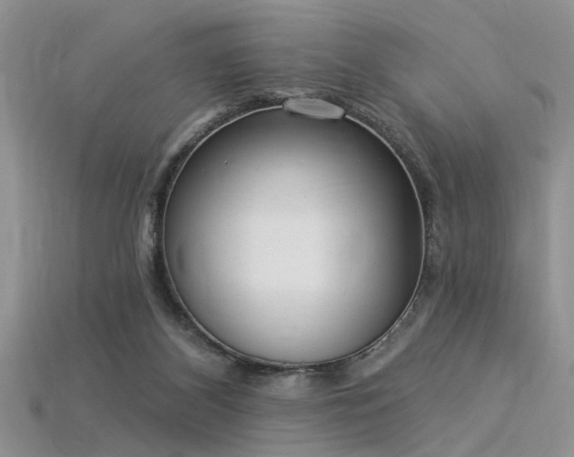 X0000115850116200911131559