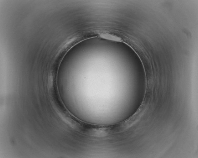 X0000115850120200911131559