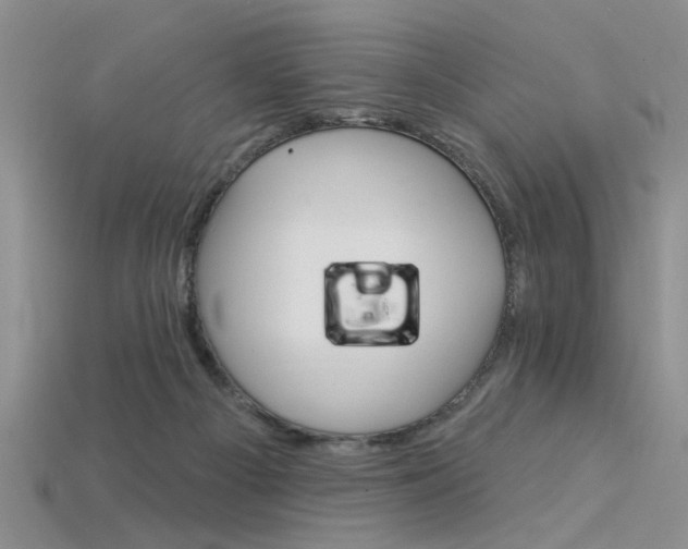 X0000115850121200911131559