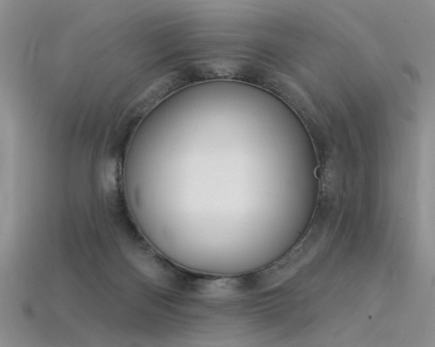 X0000115850122200911131559