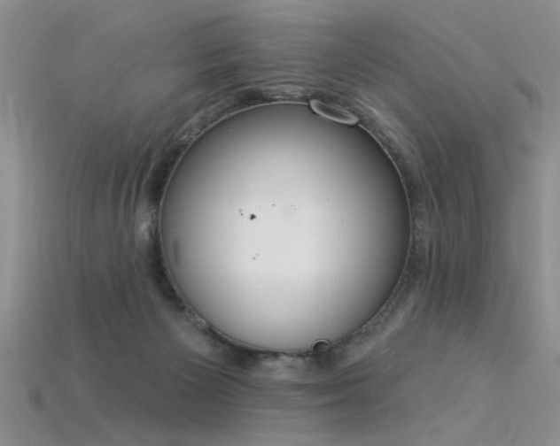 X0000115850125200911131559