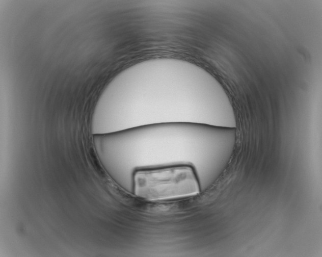 X0000115850129200911131559