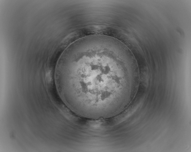 X0000115850131200911131559