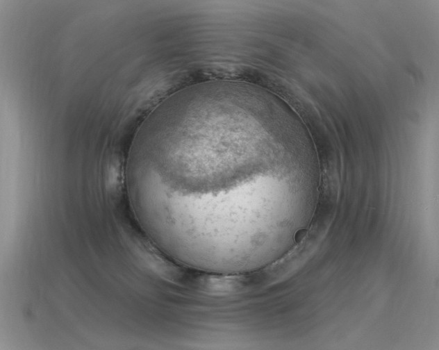 X0000115850134200911131559