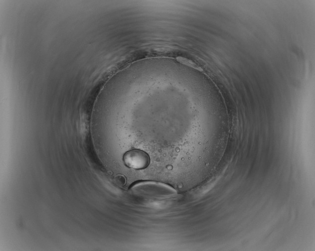 X0000115850135200911131559