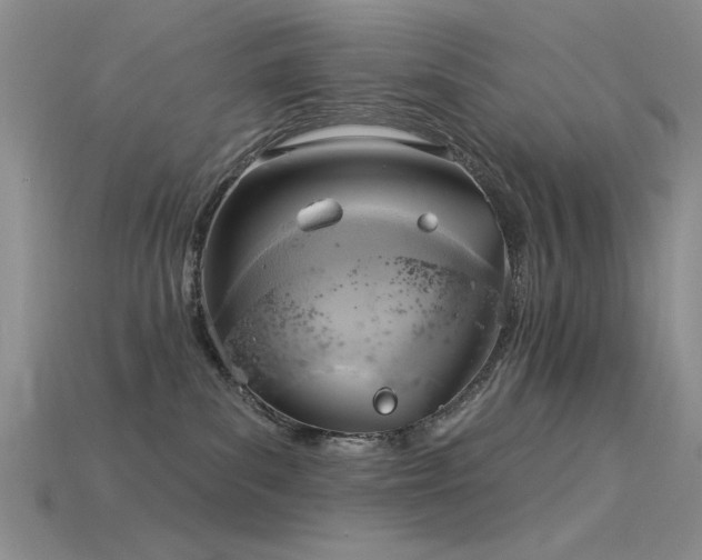 X0000115850139200911131559