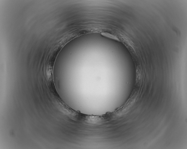 X0000115850141200911131559