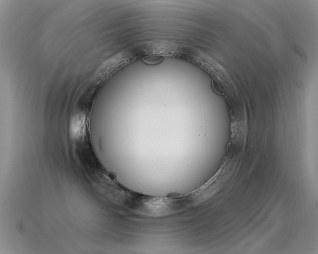 X0000115850142200911131559