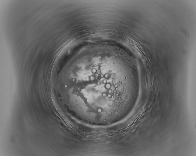 X0000115850145200911131558