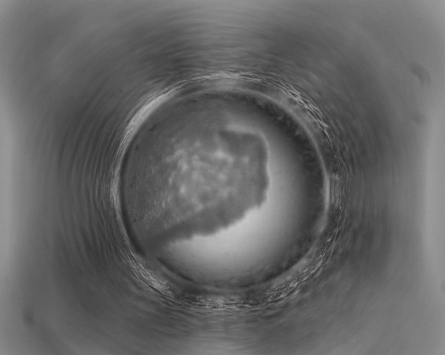 X0000115850147200911131558