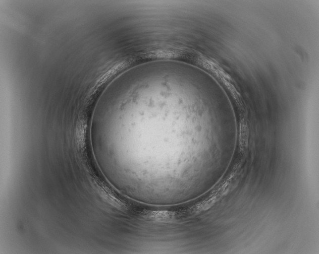 X0000115850153200911131559
