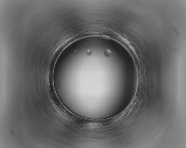 X0000115850154200911131559