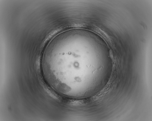 X0000115850155200911131559