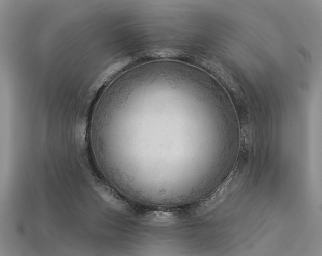 X0000115850159200911131559