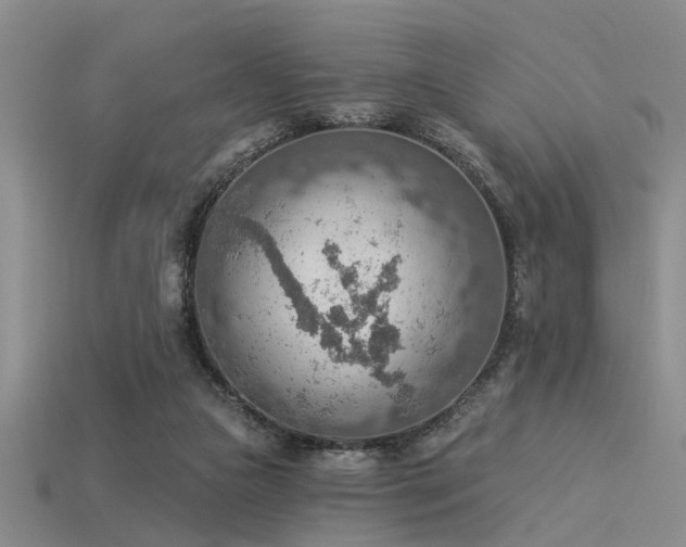 X0000115850161200911131559